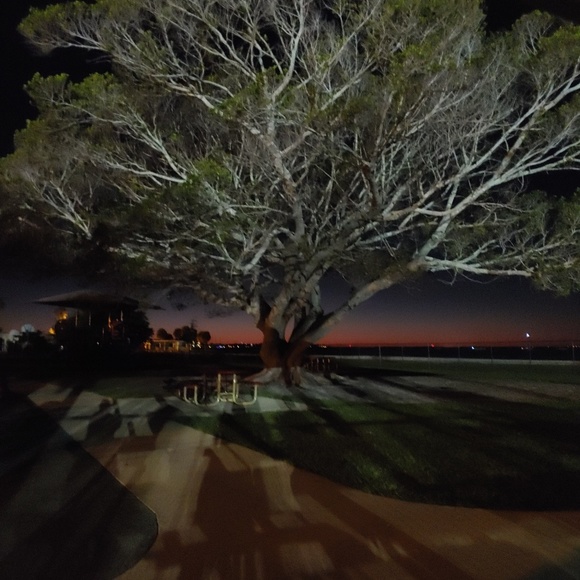 Meet your Posher, Tami - Picture 1 of 1